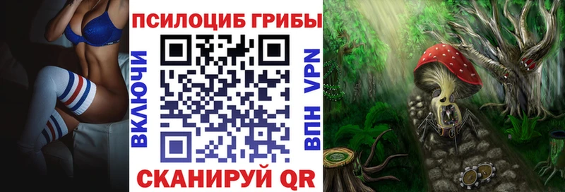 Псилоцибиновые грибы мухоморы купить наркотики цена Семёнов